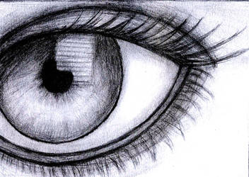 Eye