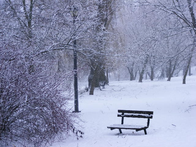 Park Bench