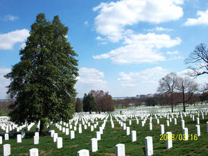 Arlington Cemetary.