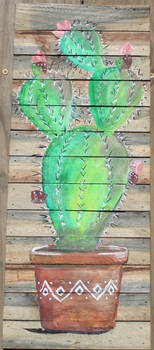 Potted Prickly Pear