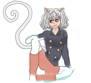 Pitou WIP