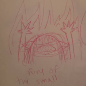 fury of the small