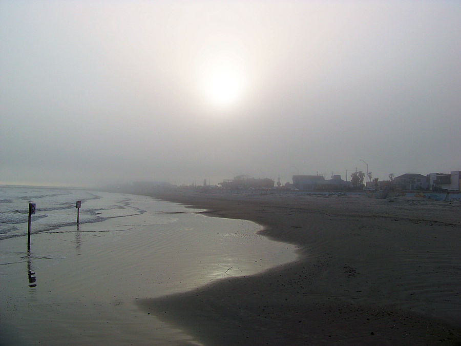 Fog in Galveston