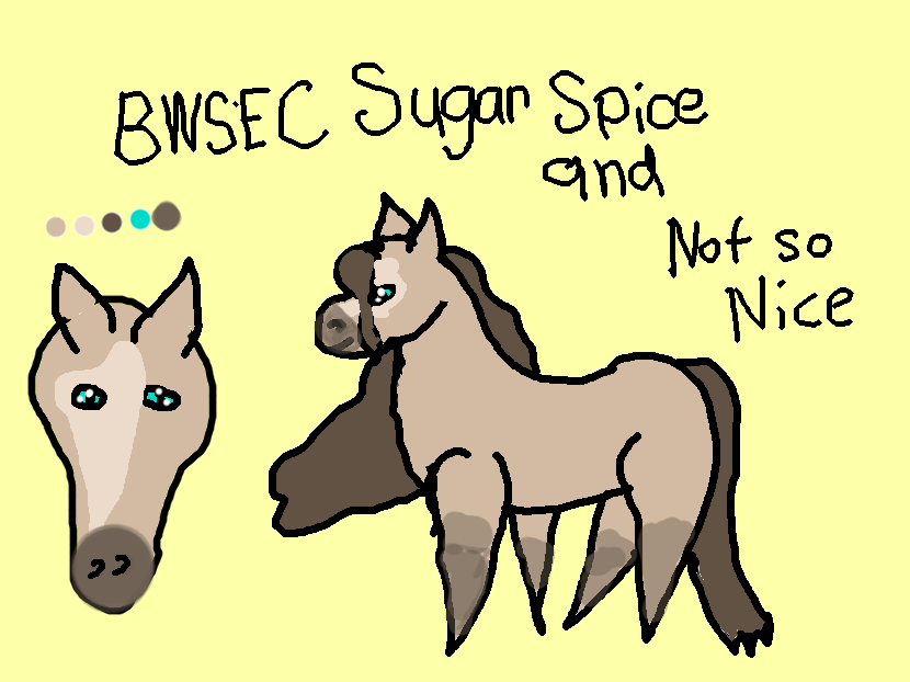 BWSEC Sugar Spice and Not So Nice