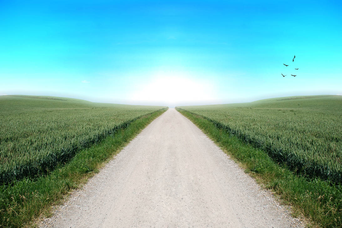 Pretty Road Split Pretty Road by asystemofdown on DeviantArt