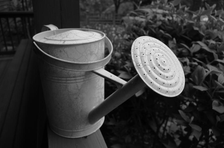 Watering can