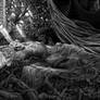 Sleep