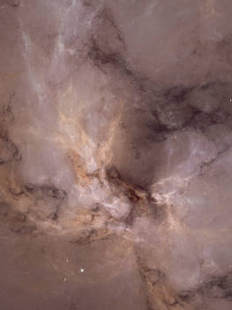Stellar Nursery