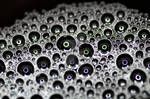Eyes by JerryMorsePhotograph