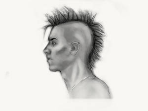 The Mohawk 