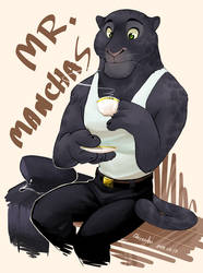 Mr. Manchas