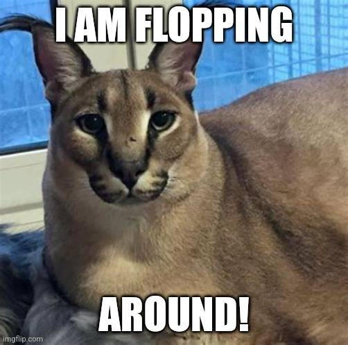 Floppa Fall Floppa is Flopping around by Pedroj234 on DeviantArt