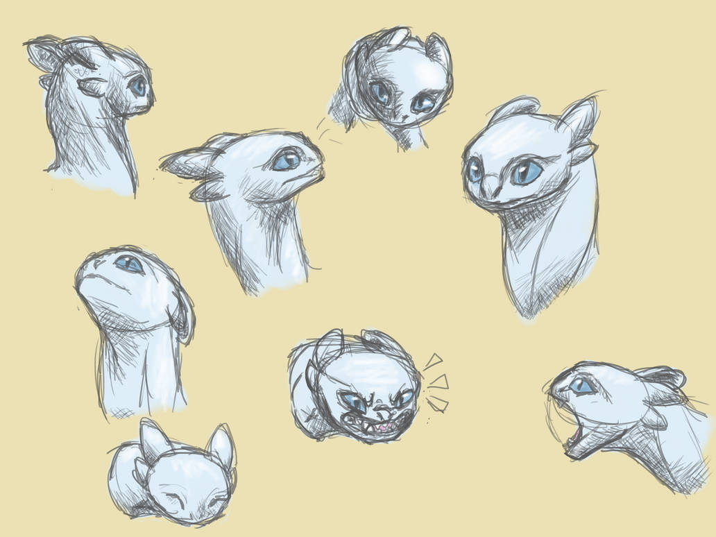 Light Fury Sketches by NightFuryScream on DeviantArt