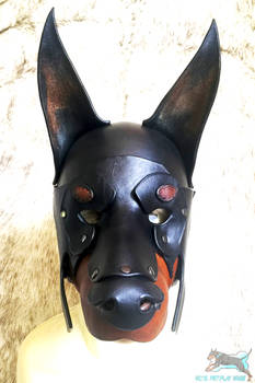 Doberman Hood