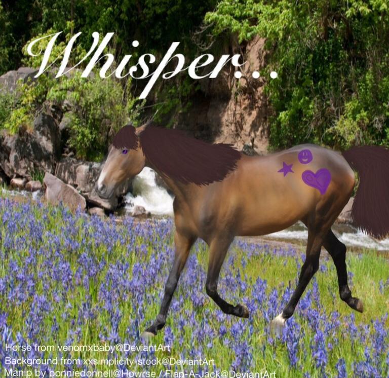 Whisper