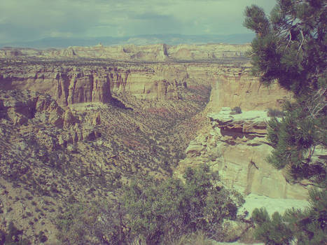 Utah Desert Landscape