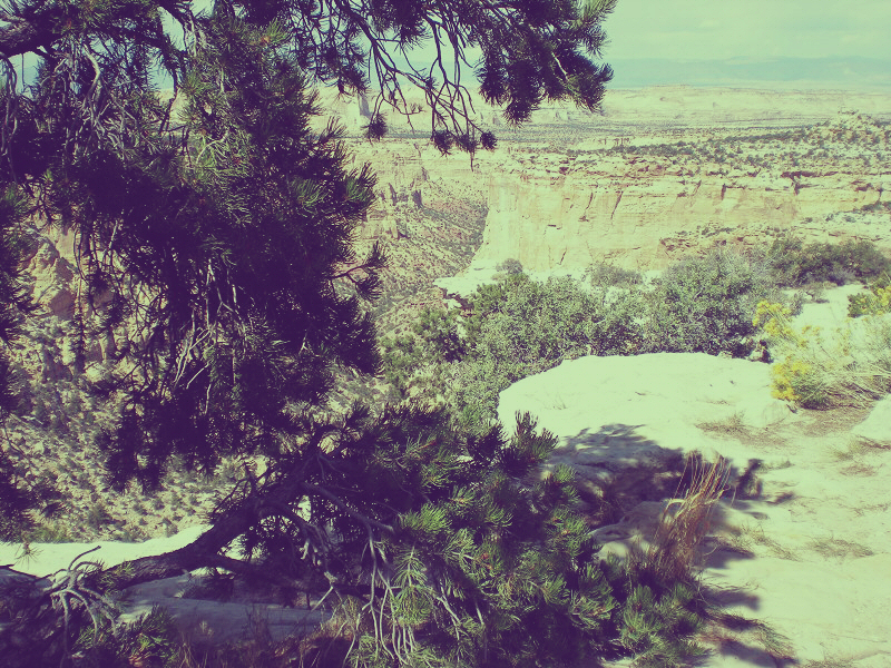 Utah Desert Landscape 2