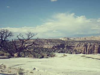 Utah Desert Landscape 3