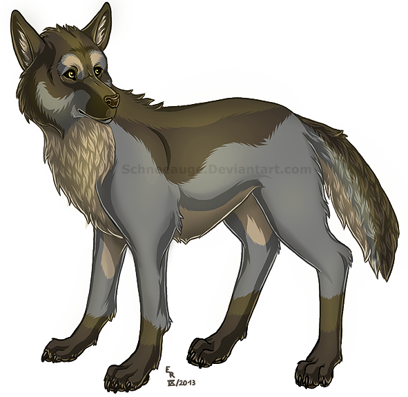 September Wolf by Schneeauge on DeviantArt