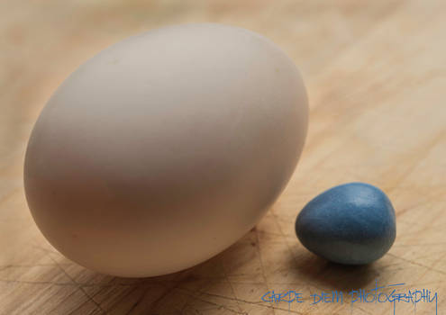 Eggcontrastbignsmall