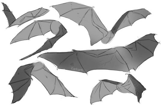 Wing Sketches