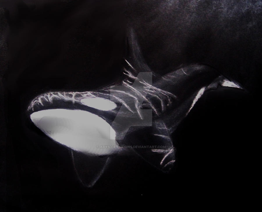 Orca