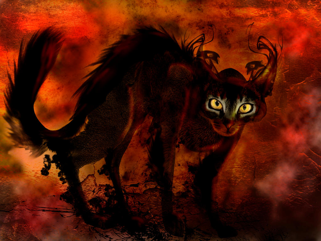 Demon Cat Script Demon Cat by FalSTARR on DeviantArt