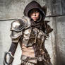 Diablo III: Demon Hunter