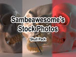 Human Skull Stock Pack by AwesomeStock
