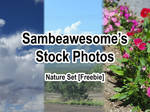 Stock Photos: Nature Set [FREE] by AwesomeStock