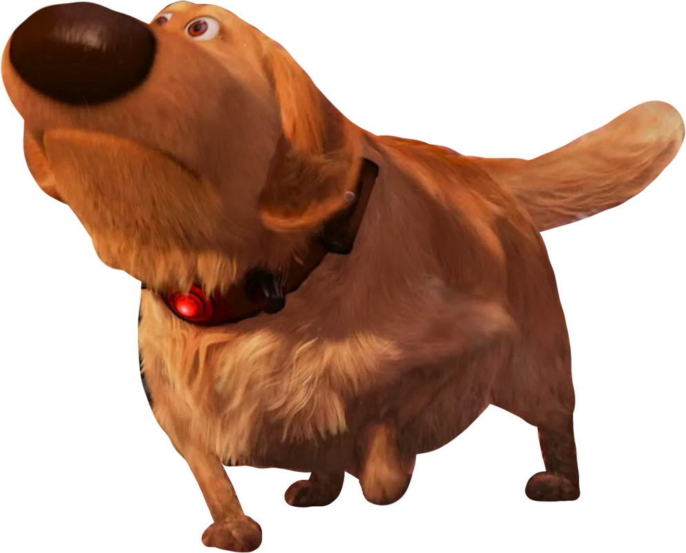 Point!!! Meme by Kylewithem on DeviantArt