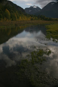 Marsh and moutain