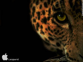 Mac OS X Leopard Wallpaper