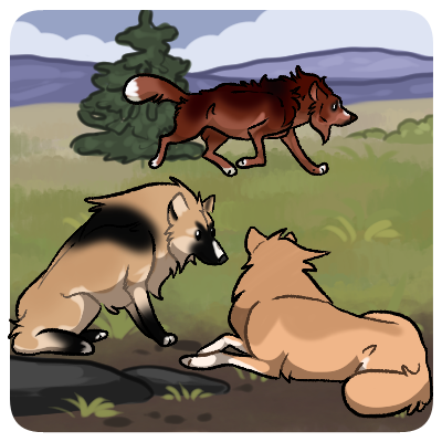 wanderers