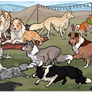 Show Your Heart 2026: The Doggening