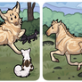 coursing through life experiences