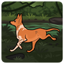 Kurama pvp 2