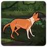 Kurama pvp 4