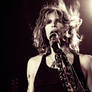 Steven Tyler 3