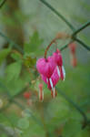 .:Tears in my Heart':. by Lemonlini