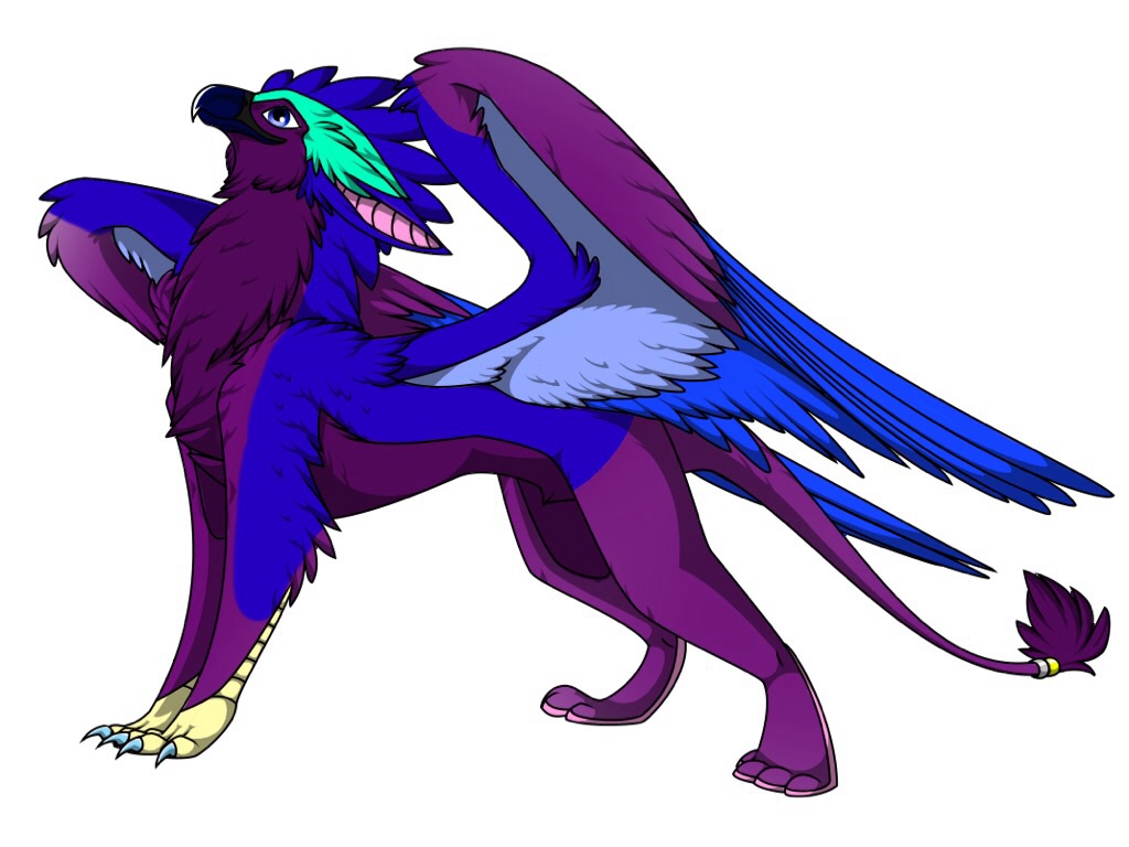 cheap Griffin adopt-Closed