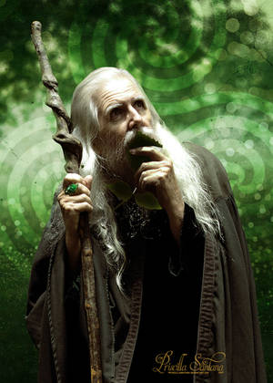 The Forest Man by PriscillaSantanaArts The Forest Man by PriscillaSantanaArts