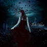 Night's Lady