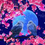 Blue Moon