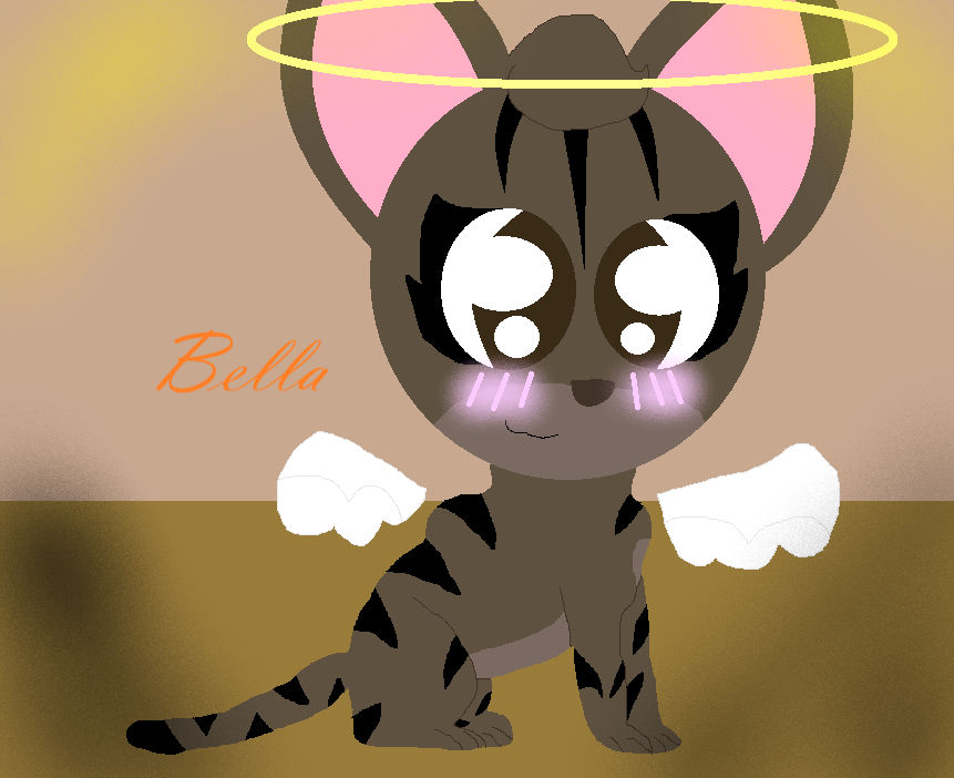Bella The Cat 3 By Fbubsp1234 On DeviantArt bella-the-cat-3-by-fbubsp1234-on-deviantart