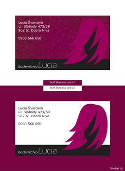 Business card 4 Hairdresser