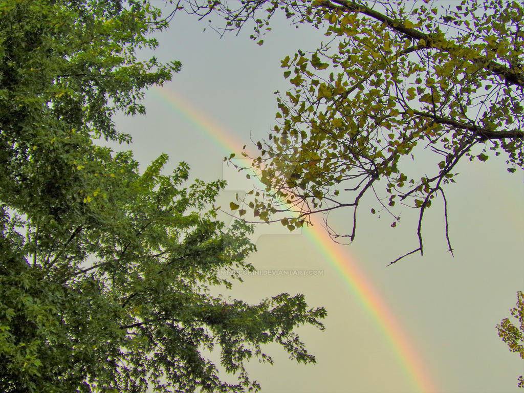 Morning Rainbow