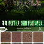 Reptile Skin Stock Textures