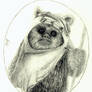 Wicket the Ewok