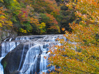 Fukuroda falls 4926